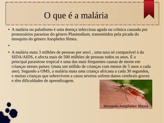O que é a malária
● A malária ou paludismo é uma doença infecciosa aguda ou crônica causada por
protozoários parasitas do género Plasmodium, transmitidos pela picada do
mosquito do género Anopheles fêmea.
●
● A malária mata 3 milhões de pessoas por ano1 , uma taxa só comparável à da
SIDA/AIDS, e afecta mais de 500 milhões de pessoas todos os anos. É a
principal parasitose tropical e uma das mais frequentes causas de morte em
crianças nesses países: (mata um milhão de crianças com menos de 5 anos a cada
ano). Segundo a OMS, a malária mata uma criança africana a cada 30 segundos,
e muitas crianças que sobrevivem a casos severos sofrem danos cerebrais graves
e têm dificuldades de aprendizagem.
Mosquito Anopheles fêmea
 