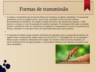 Formas de transmissão
● A malária é transmitida pela picada das fêmeas de mosquitos do gênero Anopheles. A transmissão
geralmente ocorre em regiões rurais e semi-rurais, mas pode ocorrer em áreas urbanas,
principalmente em periferias. Em cidades situadas em locais cuja altitude seja superior a 1500
metros, no entanto, o risco de aquisição de malária é pequeno. Os mosquitos têm maior actividade
durante o período da noite, do crepúsculo ao amanhecer. Contaminam-se ao picar os portadores da
doença, tornando-se o principal vector de transmissão desta para outras pessoas.
●
● O mosquito da malária atinge números suficientes de indivíduos para a transmissão da doença em
regiões onde as temperaturas médias sejam cerca de 20-30 °C, e humidade alta. Só os mosquitos
fêmeas picam o homem e alimentam-se de sangue. Os machos vivem de seivas de plantas. As
larvas se desenvolvem em águas paradas, e a prevalência máxima ocorre durante as estações com
chuva abundante.
Mosquito Anopheles fêmea
 