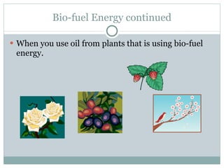 Bio-fuel Energy continued When you use oil from plants that is using bio-fuel energy. 