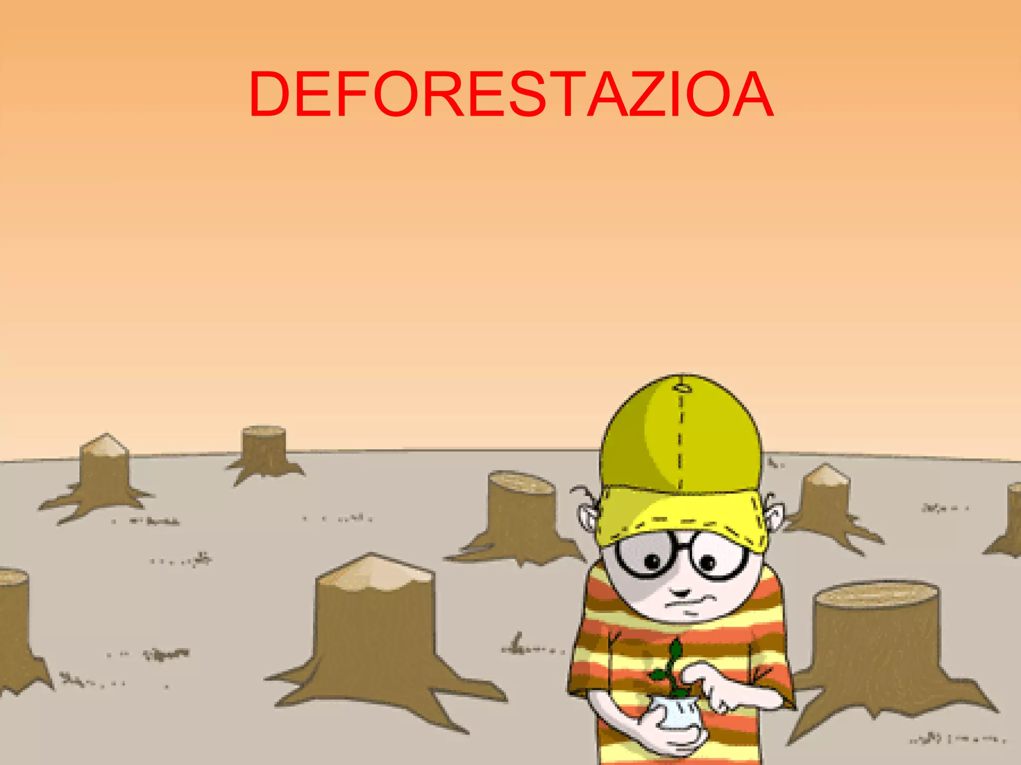 DEFORESTAZIOA 