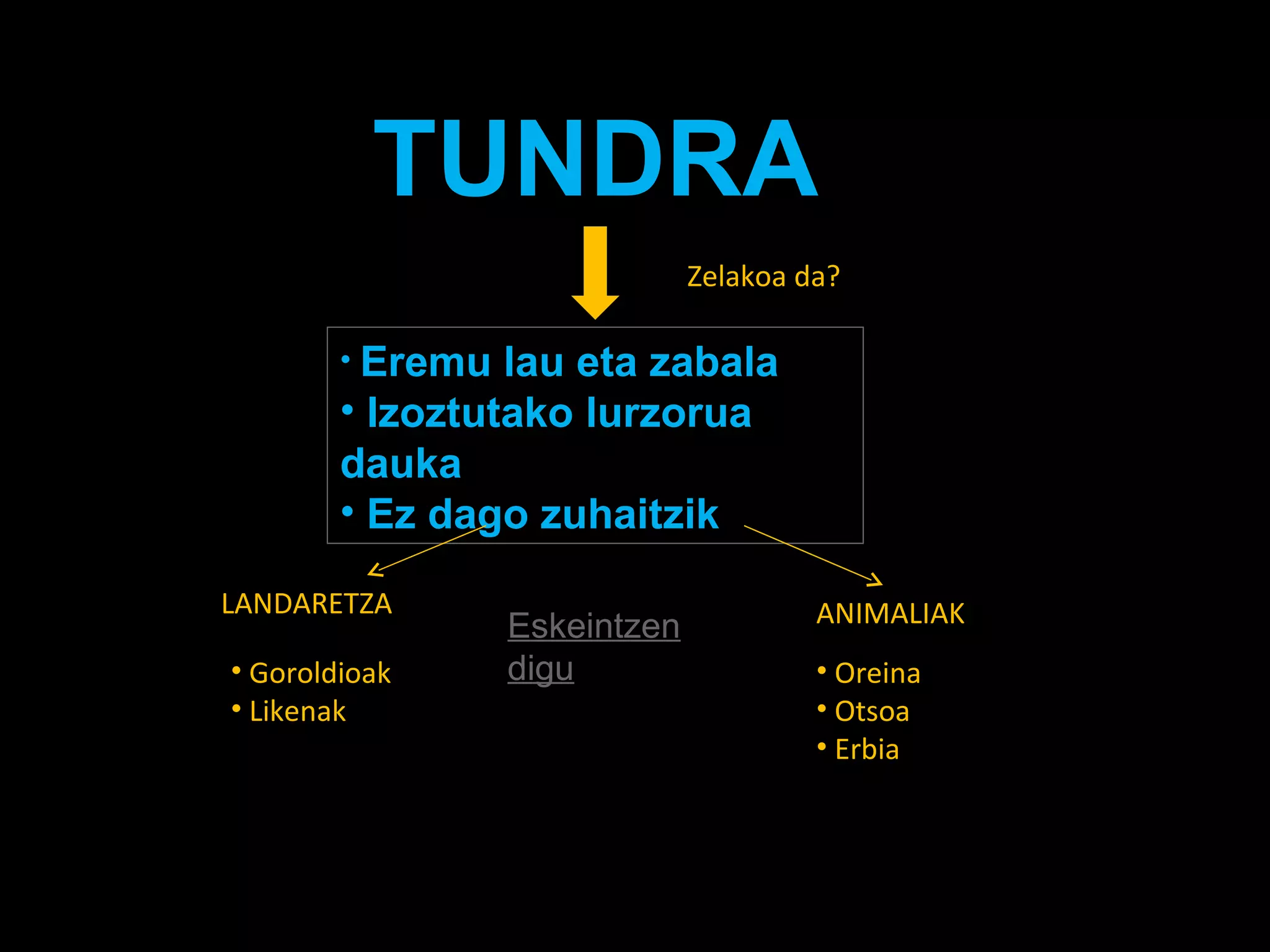 TUNDRA Eremu lau eta zabala Izoztutako lurzorua dauka Ez dago zuhaitzik Goroldioak Likenak Oreina Otsoa Erbia Eskeintzen digu Zelakoa da? LANDARETZA ANIMALIAK 