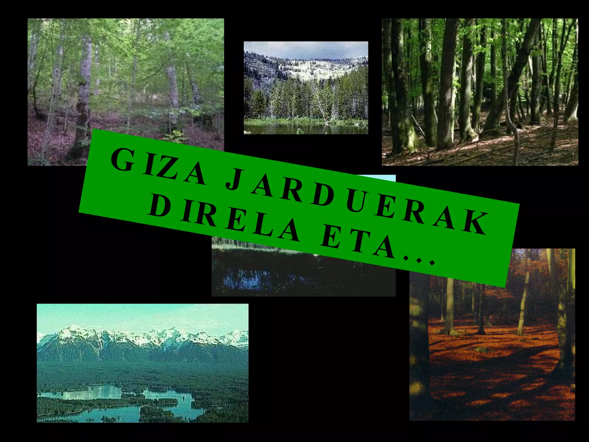 GIZA JARDUERAK DIRELA ETA... 