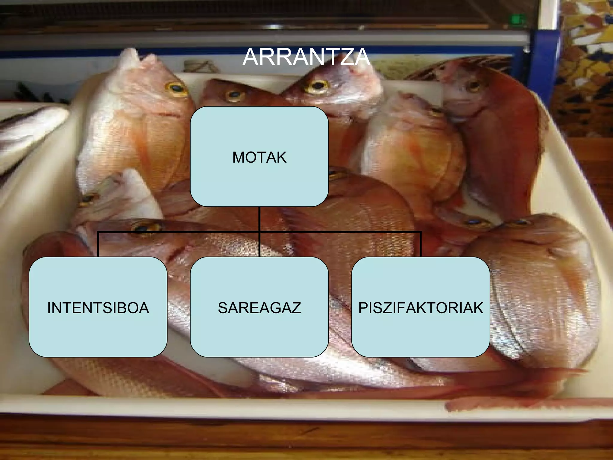 ARRANTZA MOTAK INTENTSIBOA SAREAGAZ PISZIFAKTORIAK 