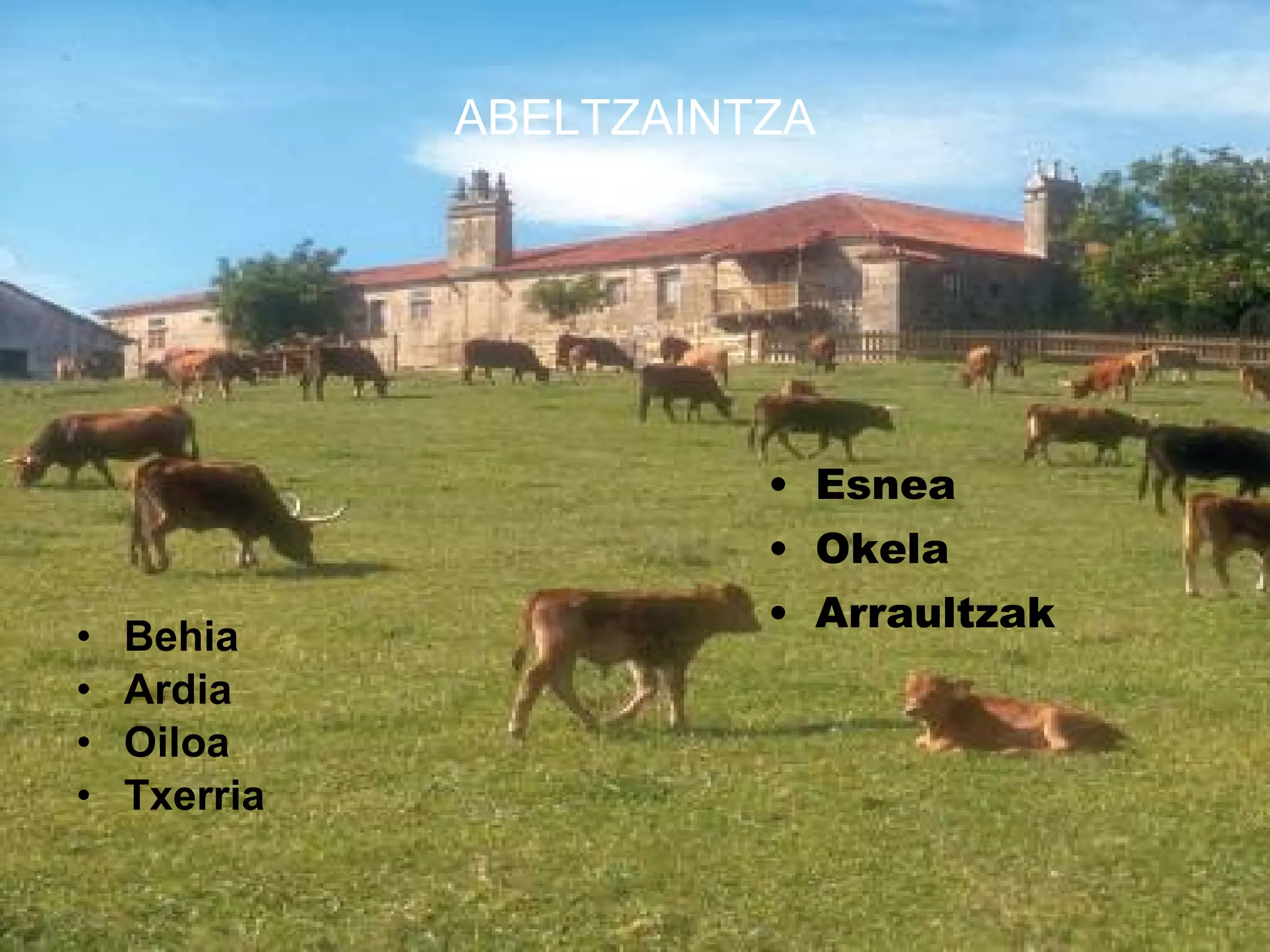 ABELTZAINTZA Behia Ardia Oiloa Txerria Esnea Okela Arraultzak 