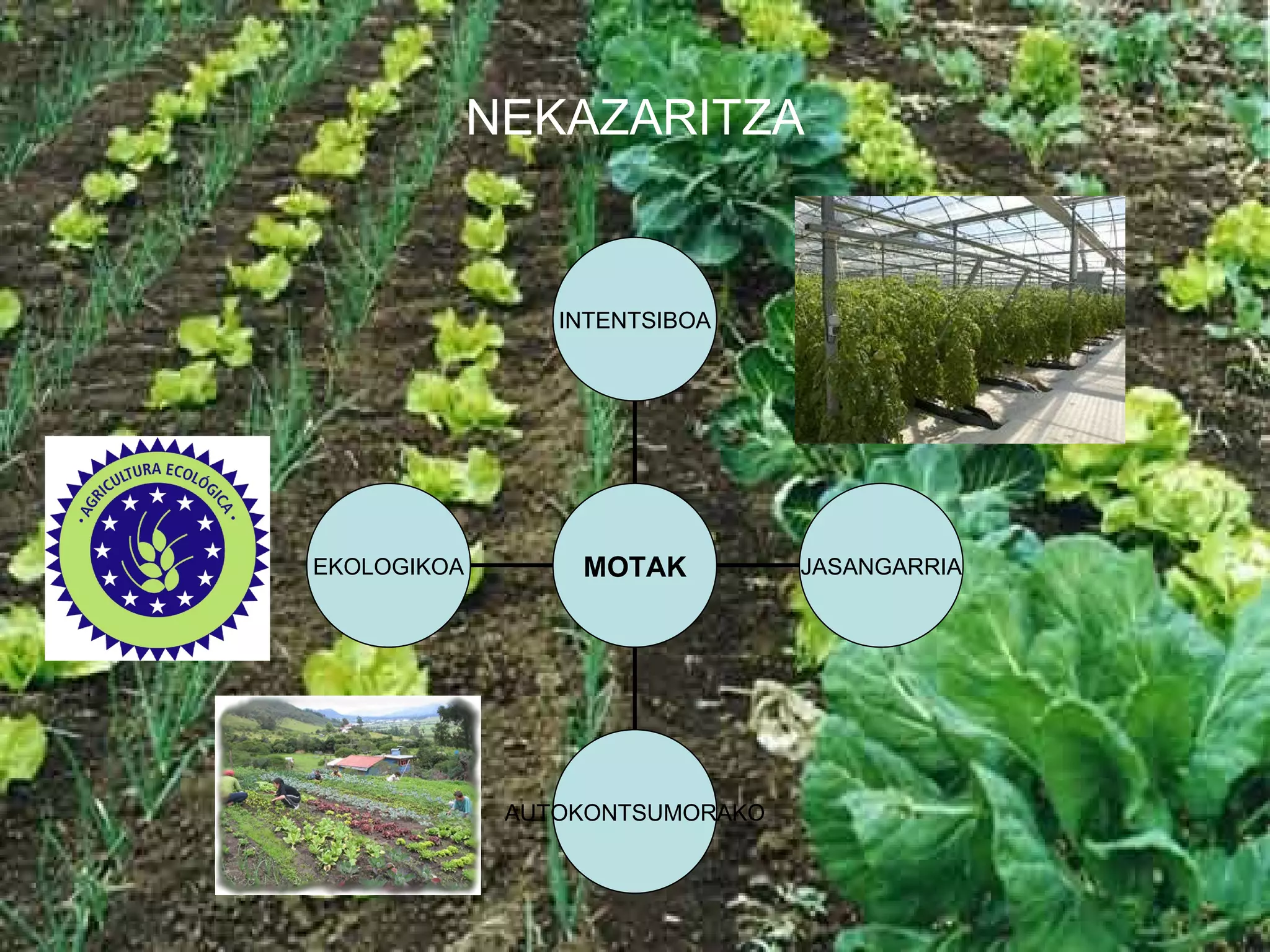 NEKAZARITZA EKOLOGIKOA AUTOKONTSUMORAKO JASANGARRIA INTENTSIBOA MOTAK 