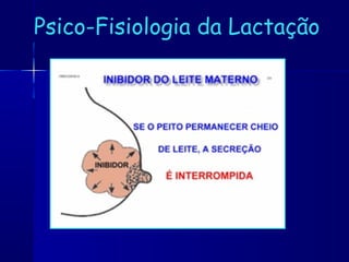 Psico-Fisiologia da Lactação
 