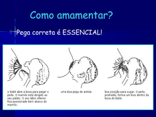 Como amamentar?
 Pega correta é ESSENCIAL!
 