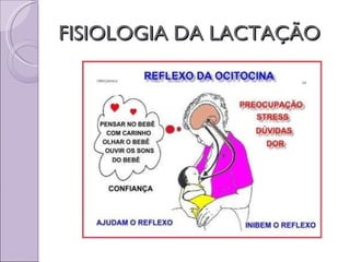 FISIOLOGIA DA LACTAÇÃO 