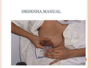 ORDENHA MANUAL
 