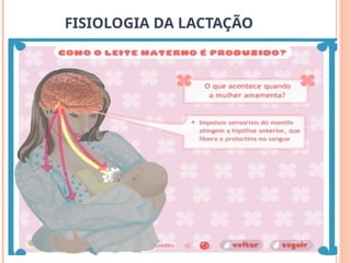 FISIOLOGIA DA LACTAÇÃO
 