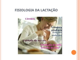 FISIOLOGIA DA LACTAÇÃO
 