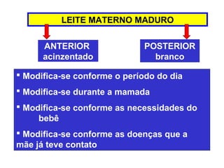 LEITE MATERNO MADURO


      ANTERIOR                POSTERIOR
      acinzentado               branco

 Modifica-se conforme o período do dia
 Modifica-se durante a mamada
 Modifica-se conforme as necessidades do
     bebê
 Modifica-se conforme as doenças que a
mãe já teve contato
 