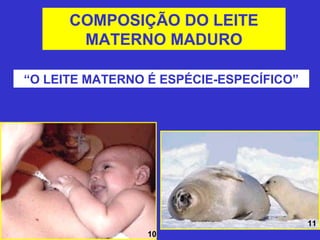 COMPOSIÇÃO DO LEITE
       MATERNO MADURO

“O LEITE MATERNO É ESPÉCIE-ESPECÍFICO”




                                         11
                 10
 