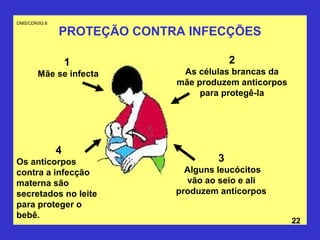 OMS/CDR/93.6

               PROTEÇÃO CONTRA INFECÇÕES

                   1                     2
        Mãe se infecta        As células brancas da
                             mãe produzem anticorpos
                                  para protegê-la




               4
Os anticorpos                        3
contra a infecção              Alguns leucócitos
materna são                    vão ao seio e ali
secretados no leite          produzem anticorpos
para proteger o
bebê.
                                                       22
 