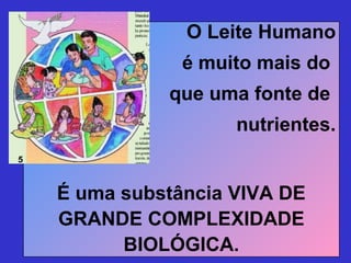 O Leite Humano
                é muito mais do
              que uma fonte de
                     nutrientes.
5



    É uma substância VIVA DE
    GRANDE COMPLEXIDADE
          BIOLÓGICA.
 
