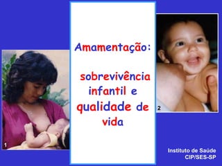 Amamentação:

     sobrevivência
      infantil e
    qualidade de     2

         vida
1
                         Instituto de Saúde
                                CIP/SES-SP
 