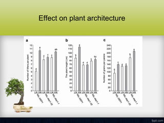 Nutrient Use Efficiency: Molecular Mechanism and Advances | PPT
