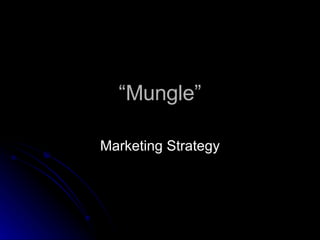 “ Mungle” Marketing Strategy 