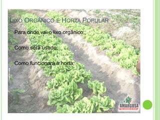 LIXO ORGÂNICO E HORTA POPULAR
Para onde vai o lixo orgânico;
Como será usado;
Como funcionará a horta;