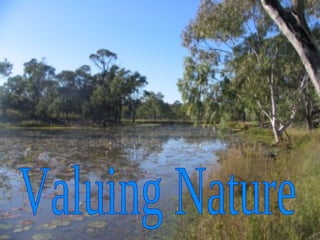 Valuing Nature 