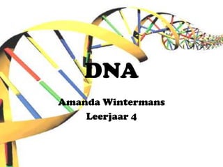 DNA Amanda Wintermans Leerjaar 4 