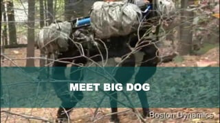 9www.hopeandanchorlondon.com
MEET BIG DOG