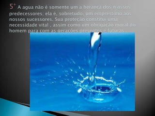 Dia Mundial da Água 7º B