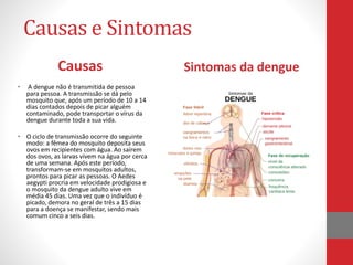 Causas e Sintomas
Causas
• A dengue não é transmitida de pessoa
para pessoa. A transmissão se dá pelo
mosquito que, após um período de 10 a 14
dias contados depois de picar alguém
contaminado, pode transportar o vírus da
dengue durante toda a sua vida.
• O ciclo de transmissão ocorre do seguinte
modo: a fêmea do mosquito deposita seus
ovos em recipientes com água. Ao saírem
dos ovos, as larvas vivem na água por cerca
de uma semana. Após este período,
transformam-se em mosquitos adultos,
prontos para picar as pessoas. O Aedes
aegypti procria em velocidade prodigiosa e
o mosquito da dengue adulto vive em
média 45 dias. Uma vez que o indivíduo é
picado, demora no geral de três a 15 dias
para a doença se manifestar, sendo mais
comum cinco a seis dias.
Sintomas da dengue
 