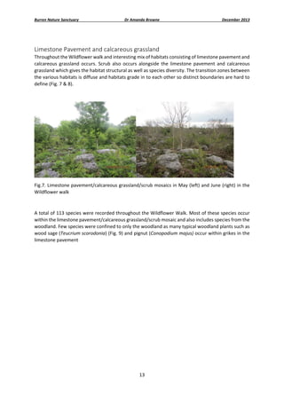 Burren Nature Sanctuary 

Dr Amanda Browne 

December 2013 

 

Limestone Pavement and calcareous grassland 
Throughout the Wildflower walk and interesting mix of habitats consisting of limestone pavement and 
calcareous  grassland  occurs.  Scrub  also  occurs  alongside  the  limestone  pavement  and  calcareous 
grassland which gives the habitat structural as well as species diversity. The transition zones between 
the various habitats is diffuse and habitats grade in to each other so distinct boundaries are hard to 
define (Fig. 7 & 8). 
 

 
Fig.7. Limestone pavement/calcareous grassland/scrub mosaics in May (left) and June (right) in the 
Wildflower walk 
 
A total of 113 species were recorded throughout the Wildflower Walk. Most of these species occur 
within the limestone pavement/calcareous grassland/scrub mosaic and also includes species from the 
woodland. Few species were confined to only the woodland as many typical woodland plants such as 
wood sage (Teucrium scorodonia) (Fig. 9) and pignut (Conopodium majus) occur within grikes in the 
limestone pavement  
 
 
 
 
 
 
 

13 
 

 