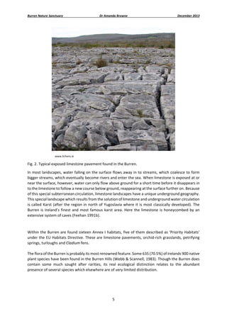 Burren Nature Sanctuary 

Dr Amanda Browne 

December 2013 

 
www.lichens.ie 

Fig. 2. Typical exposed limestone pavement found in the Burren. 
In most landscapes, water falling on the surface flows away in to streams, which coalesce to form 
bigger streams, which eventually become rivers and enter the sea. When limestone is exposed at or 
near the surface, however, water can only flow above ground for a short time before it disappears in 
to the limestone to follow a new course below ground, reappearing at the surface further on. Because 
of this special subterranean circulation, limestone landscapes have a unique underground geography. 
This special landscape which results from the solution of limestone and underground water circulation 
is  called  Karst  (after  the  region  in  north  of  Yugoslavia  where  it  is  most  classically  developed).  The 
Burren  is  Ireland’s  finest  and  most  famous  karst  area.  Here  the  limestone  is  honeycombed  by  an 
extensive system of caves (Feehan 1991b). 
 
Within  the  Burren  are  found  sixteen  Annex  I  habitats,  five  of  them  described  as  ‘Priority  Habitats’ 
under the EU Habitats Directive. These are limestone pavements, orchid‐rich grasslands, petrifying 
springs, turloughs and Cladium fens. 
The flora of the Burren is probably its most renowned feature. Some 635 (70.5%) of Irelands 900 native 
plant species have been found in the Burren Hills (Webb & Scannell, 1983). Though the Burren does 
contain  some  much  sought  after  rarities,  its  real  ecological  distinction  relates  to  the  abundant 
presence of several species which elsewhere are of very limited distribution.  
 

5 
 

 