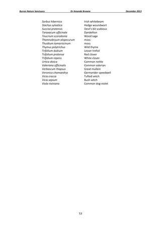 Burren Nature Sanctuary 

Dr Amanda Browne 

Sorbus hibernica 
Stachys sylvatica 
Succisa pratensis 
Taraxacum officinale 
Teucrium scorodonia 
Thamnobryum alopecurum 
Thuidium tamariscinum 
Thymus polytrichus 
Trifolium dubium 
Trifolium pratense 
Trifolium repens 
Urtica dioica 
Valeriana officinalis 
Verbascum thapsus 
Veronica chamaedrys 
Vicia cracca 
Vicia sepium 
Viola riviniana 

Irish whitebeam 
Hedge woundwort 
Devil's bit scabious 
Dandellion 
Wood sage 
moss 
moss 
Wild thyme 
Lesser trefoil 
Red clover 
White clover 
Common nettle 
Common valerian 
Great mullein 
Germander speedwell 
Tufted vetch 
Bush vetch  
Common dog‐violet 

 

53 
 

December 2013 

 