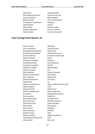 Burren Nature Sanctuary 

Dr Amanda Browne 

Salix repens 
Schoenoplectus lacustris 
Senecio aquaticus 
Stellaria media 
Trichophorum cespitosum 
Typha latifolia 
Urtica dioica 
Valeriana officinalis 
Viola riviniana 

Creeping willow 
Common club‐rush 
Marsh ragwort 
Common chickweed 
Deergrass 
Bulrush 
Common nettle 
Common valerian 
Common dog‐violet 

 

Total Turlough Wood Species: 35  
 
Allium ursinum 
Arum maculatum 
Brachypodium sylvaticum 
Cinclidotus fontinaloides 
Circaea lutetiana 
Corylus avelanna 
Crataegus monogyna 
Dactylis glomerata 
Euonymus europaeus 
Filipendula ulmaria 
Fraxinus excelsior 
Galium aparine 
Geranium robertianum 
Geum urbanum 
Glechoma hederacea 
Hedera helix 
Hypericum tetrapterum 
Hypnum species 
Oxalis acetosella 
Phylitis scolopendrium 
Poa species 
Prunus spinosa 
Ramalina farinacea 
Ranunculus acris 
Ranunculus ficaria 
Rosa species 
Rubus caesius 
Rubus fruticosus 
Sambucus nigra 
Stachys sylvatica 
Thamnobryum alopecurum 
Ulmus glabra 

Wild garlic 
Lords and ladies 
False brome 
Smaller lattice‐moss 
Enchanter's nightshade 
Hazel 
Hawthorn 
Cock'sfoot grass 
Spindle 
Meadowsweet 
Ash 
Common cleavers 
Herb robert 
Wood avens 
Ground ivy 
Ivy 
Square‐stalked st John's‐wort 
moss 
Wood sorrel 
Hart's tongue fern 
Meadow‐grass species 
Blackthorn 
Cartilage lichen 
Meadow buttrecup 
Lesser celandine 
Rose species 
Dewberry 
Bramble 
Elder 
Hedge woundwort 
moss 
Wych elm 
55 

 

December 2013 

 