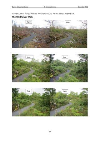 Burren Nature Sanctuary 

Dr Amanda Browne 

December 2013 

APPENDIX II. FIXED POINT PHOTOS FROM APRIL TO SEPTEMBER. 
The Wildflower Walk 
April

May 

 
 
June

July

 
 
Aug 

Sept 

 

57 
 

 