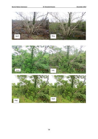 Burren Nature Sanctuary 

Dr Amanda Browne 

December 2013 

May 

April 

 
 

June

July 

 

Sept 

Aug 

 
 
 

 

58 
 

 