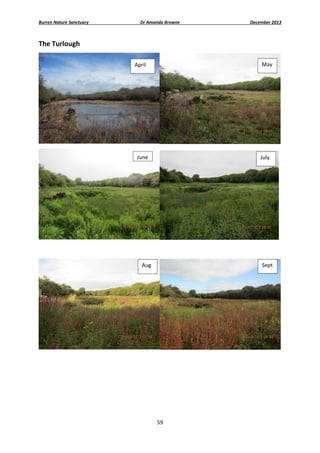 Burren Nature Sanctuary 

Dr Amanda Browne 

December 2013 

The Turlough 
May 

April 

 
June

July 

 
 
Aug 

Sept 

 
 

 

59 
 

 