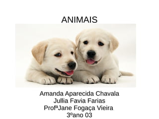 ANIMAIS
Amanda Aparecida Chavala
Jullia Favia Farias
ProfªJane Fogaça Vieira
3ºano 03
 