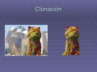 Clonación