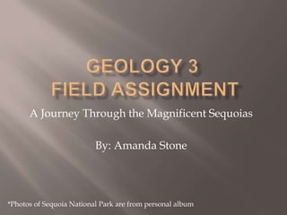 Geology 3  Field assignment A Journey Through the Magnificent Sequoias By: Amanda Stone *Photos of Sequoia National Park are from personal album 
