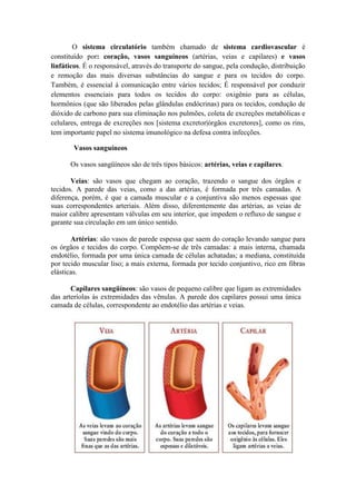 O sistema circulatório também chamado de sistema cardiovascular é
constituído por: coração, vasos sanguíneos (artérias, veias e capilares) e vasos
linfáticos. É o responsável, através do transporte do sangue, pela condução, distribuição
e remoção das mais diversas substâncias do sangue e para os tecidos do corpo.
Também, é essencial à comunicação entre vários tecidos; É responsável por conduzir
elementos essenciais para todos os tecidos do corpo: oxigênio para as células,
hormônios (que são liberados pelas glândulas endócrinas) para os tecidos, condução de
dióxido de carbono para sua eliminação nos pulmões, coleta de excreções metabólicas e
celulares, entrega de excreções nos [sistema excretor|órgãos excretores], como os rins,
tem importante papel no sistema imunológico na defesa contra infecções.
Vasos sanguíneos
Os vasos sangüíneos são de três tipos básicos: artérias, veias e capilares.
Veias: são vasos que chegam ao coração, trazendo o sangue dos órgãos e
tecidos. A parede das veias, como a das artérias, é formada por três camadas. A
diferença, porém, é que a camada muscular e a conjuntiva são menos espessas que
suas correspondentes arteriais. Além disso, diferentemente das artérias, as veias de
maior calibre apresentam válvulas em seu interior, que impedem o refluxo de sangue e
garante sua circulação em um único sentido.
Artérias: são vasos de parede espessa que saem do coração levando sangue para
os órgãos e tecidos do corpo. Compõem-se de três camadas: a mais interna, chamada
endotélio, formada por uma única camada de células achatadas; a mediana, constituída
por tecido muscular liso; a mais externa, formada por tecido conjuntivo, rico em fibras
elásticas.
Capilares sangüíneos: são vasos de pequeno calibre que ligam as extremidades
das arteríolas às extremidades das vênulas. A parede dos capilares possui uma única
camada de células, correspondente ao endotélio das artérias e veias.
 