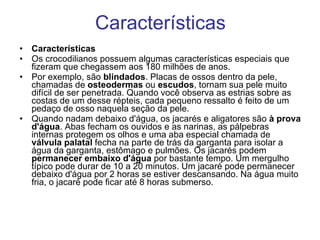 Características Características  Os crocodilianos possuem algumas características especiais que fizeram que chegassem aos 180 milhões de anos.  Por exemplo, são  blindados . Placas de ossos dentro da pele, chamadas de  osteodermas  ou  escudos , tornam sua pele muito difícil de ser penetrada. Quando você observa as estrias sobre as costas de um desse répteis, cada pequeno ressalto é feito de um pedaço de osso naquela seção da pele.  Quando nadam debaixo d'água, os jacarés e aligatores são  à prova d'água . Abas fecham os ouvidos e as narinas, as pálpebras internas protegem os olhos e uma aba especial chamada de  válvula palatal  fecha na parte de trás da garganta para isolar a água da garganta, estômago e pulmões. Os jacarés podem  permanecer embaixo d'água  por bastante tempo. Um mergulho típico pode durar de 10 a 20 minutos. Um jacaré pode permanecer debaixo d'água por 2 horas se estiver descansando. Na água muito fria, o jacaré pode ficar até 8 horas submerso. 