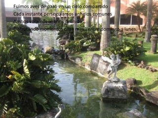 Fuimos aves de paso en un cielo compartido
Cada instante perseguiamos anhelos comunes
Ambos volamos lejanos del nido…
Disfrutando momentos cada mes.. entre domingo a lunes.
 