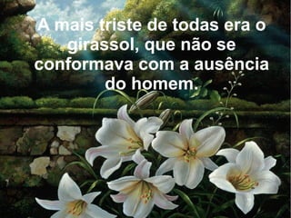A mais triste de todas era o
girassol, que não se
conformava com a ausência
do homem.

 