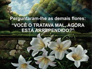 Perguntaram-lhe as demais flores:
● “VOCÊ O TRATAVA MAL, AGORA
ESTÁ ARREPENDIDO?”

 