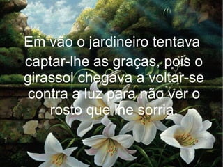 Em vão o jardineiro tentava
● captar-lhe as graças, pois o
girassol chegava a voltar-se
contra a luz para não ver o
rosto que lhe sorria.

 