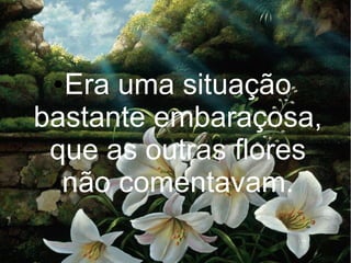 Era uma situação
bastante embaraçosa,
que as outras flores
não comentavam.
●

 