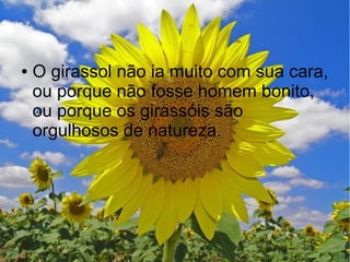 ●

O girassol não ia muito com sua cara,
ou porque não fosse homem bonito,
ou porque os girassóis são
orgulhosos de natureza.

 
