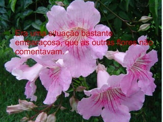 ●

Era uma situação bastante
embaraçosa, que as outras flores não
comentavam.

 