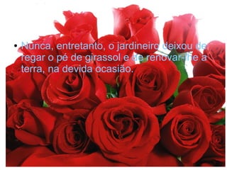 ●

Nunca, entretanto, o jardineiro deixou de
regar o pé de girassol e de renovar-lhe a
terra, na devida ocasião.

 