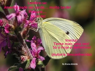 Insista!  Tente mais uma vez!  Só o hoje é definitivo! (Autoria Desconhecida)   Lembre-se:  Amanhã pode ser tarde... muito tarde!  Procure...  Vá atrás! By Bruna Almeida 