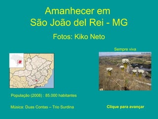 Amanhecer em
São João del Rei - MG
Fotos: Kiko Neto
Clique para avançar
População (2008) : 85.000 habitantes
Sempre viva
Música: Duas Contas – Trio Surdina
 